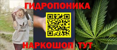 гидропоника Пугачёв